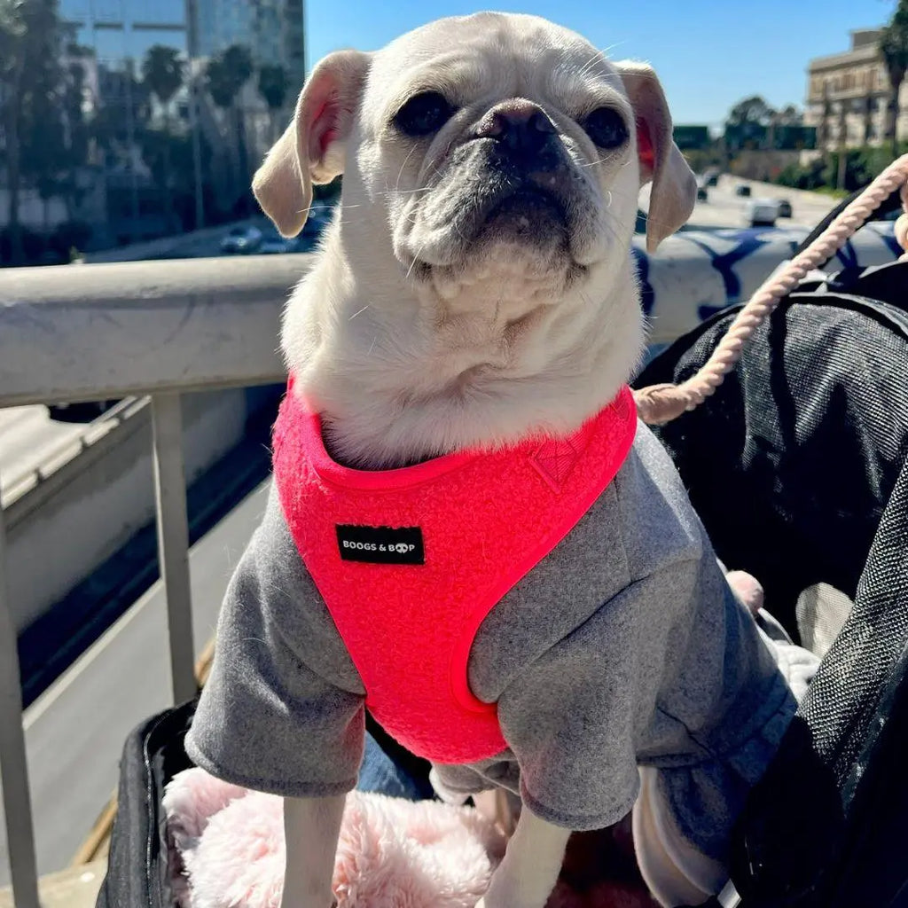 Adjustable Teddy Fabric Dog Harness - Fluorescent Pink