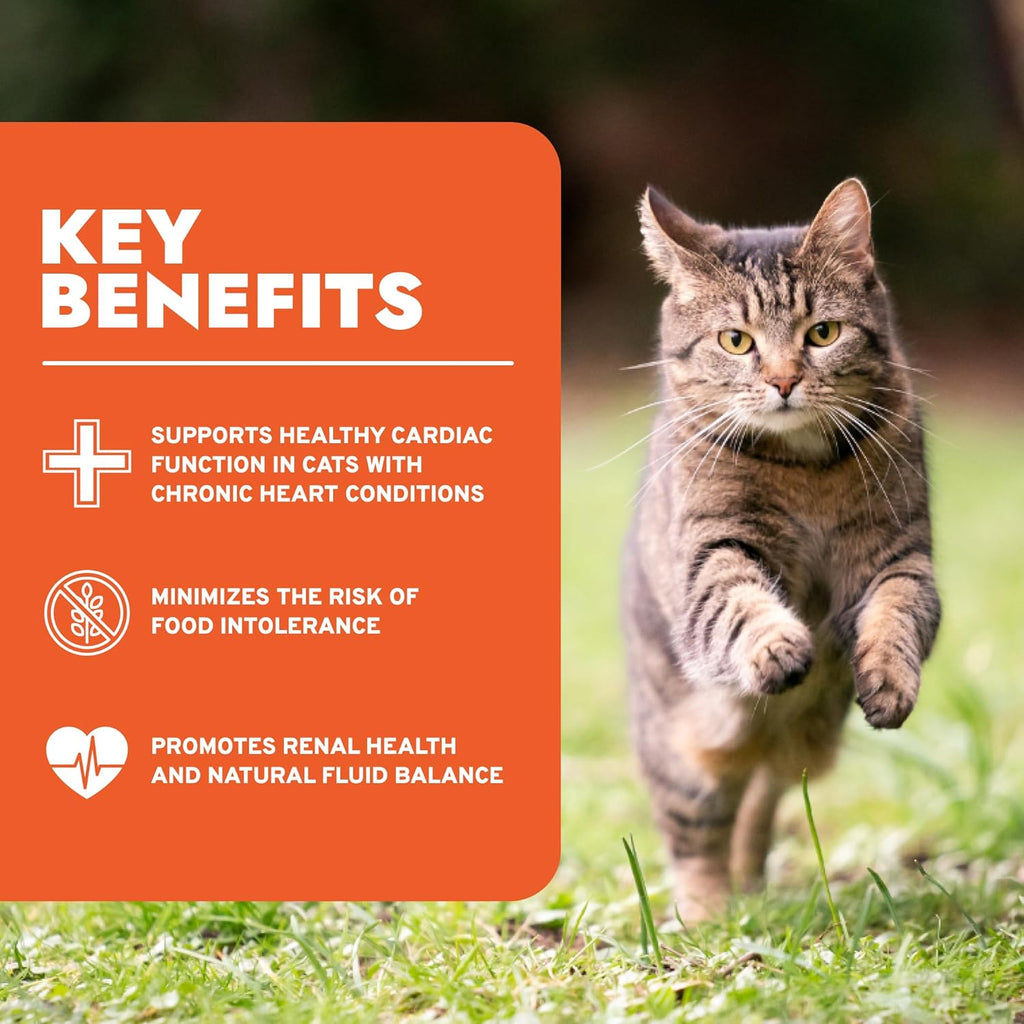 Renal Wet Cat Food for Adult Cats - 3.5 Oz, 32 Pack - Lamb Flavor | Actiwet Renal Support - Vet-Formulated, Non-Gmo - Kidney Care for Adult Cats - Made in Italy