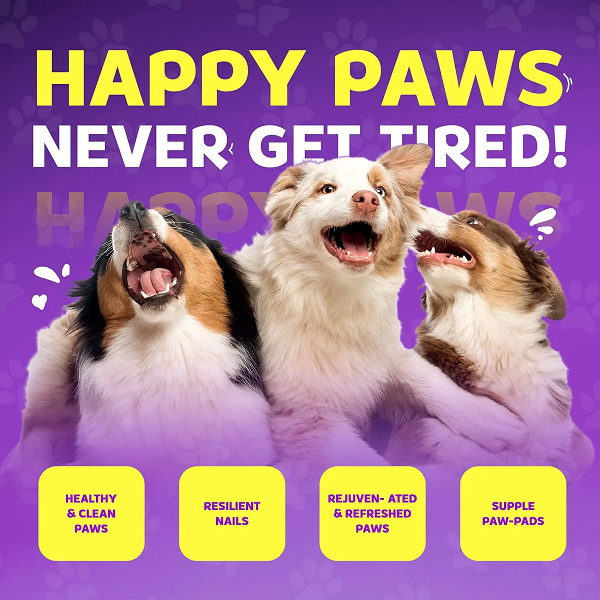 Pawfoam – Easy No-Rinse Pet Paw Cleaner for Dogs & Cats, Moisturizes and Nourishes, 5 FL. OZ.