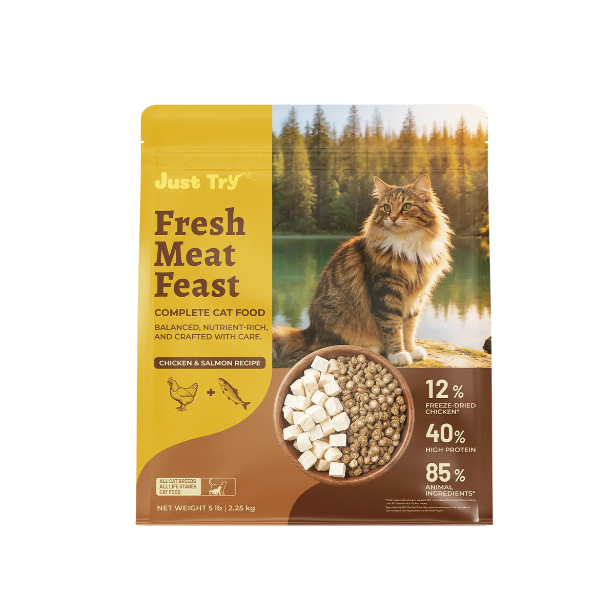 Just Try Grain-Free Dry Cat Food, 5 Lb - 40% Protein from Salmon & Chicken, Hairball Aid with Cat Grass, Pumpkin, Taurine, Psyllium Husk & Cranberry, Supports Digestive Health, Dry Food